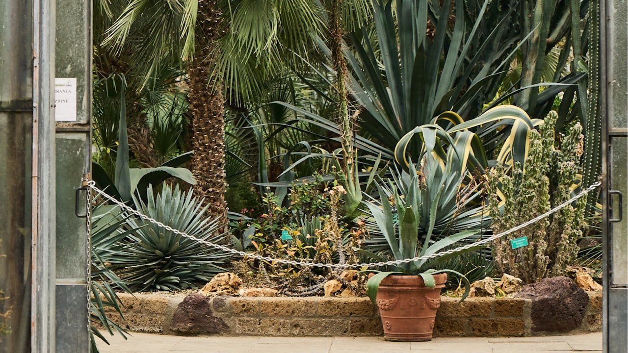 Factors To Consider When Choosing A Hot Tub Dealer