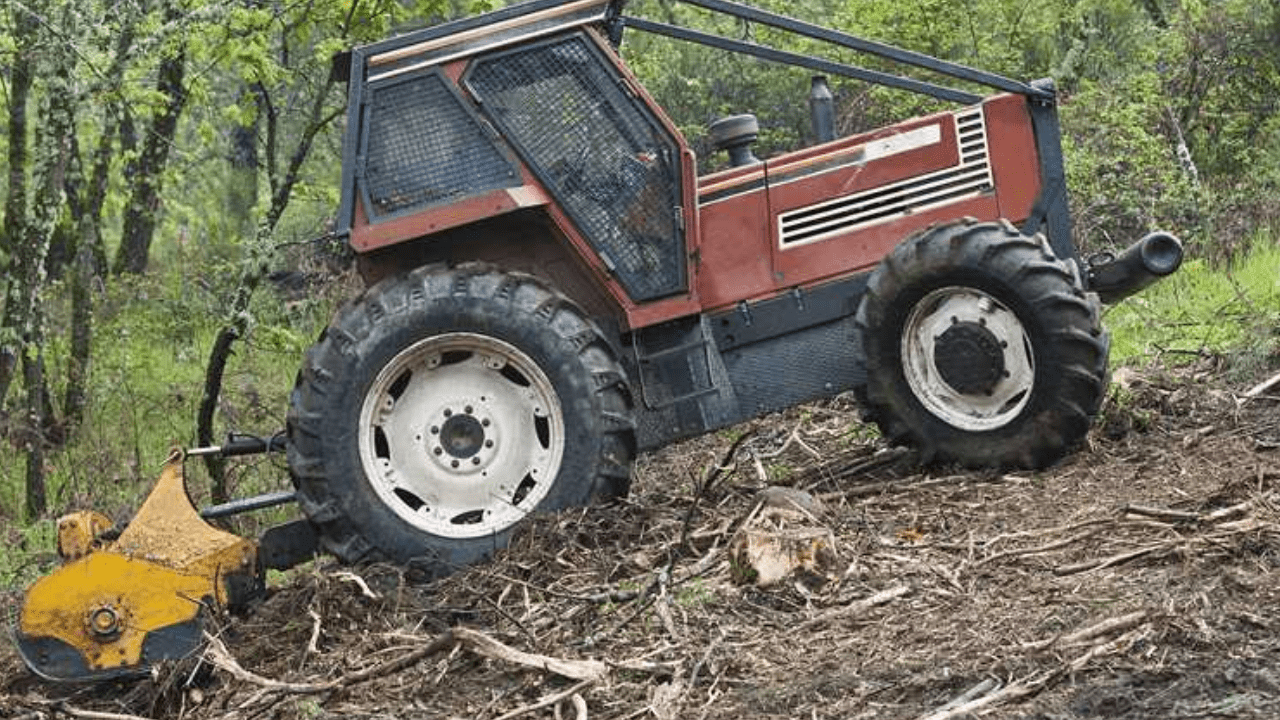 Which Mulcher Type is Your Landscape's Perfect Match?