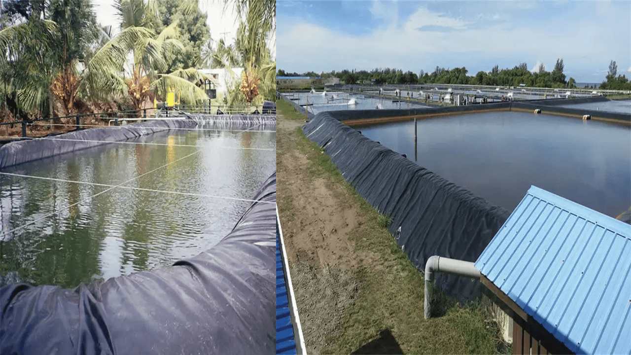 Geomembrane Solutions for Environmental Protection Projects