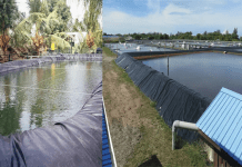 Geomembrane Solutions for Environmental Protection Projects